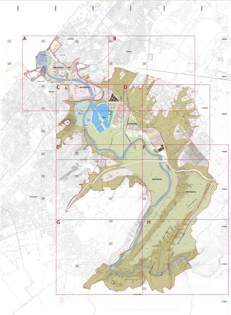 Carta - Reichen et Robert Associates - PLAN D'ENSEMBLE 20 000ä.jpg